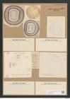 Campylodiscus daemelianus Grun. (de-Toni-Nr.: Genus 57, Species 2454) Zeichnungen Sammlung Grunow Nr. 4943 (NHMW-BOT-W0373157)